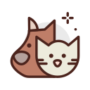 anal-expression
